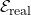  \mathcal{E}_{\text{real}} 