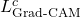  L_{\text{Grad-CAM}}^c 