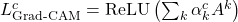  L_{\text{Grad-CAM}}^c = \text{ReLU} \left( \sum_k \alpha_k^c A^k \right) 